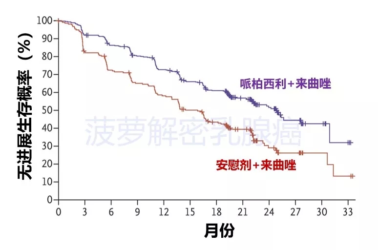 3.webp.jpg 3.webp.jpg