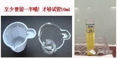 08.webp.jpg 08.webp.jpg