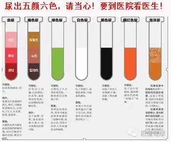 09.webp.jpg 09.webp.jpg