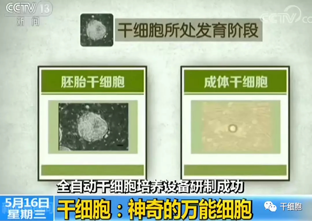 3.webp (1).jpg 3.webp (1).jpg