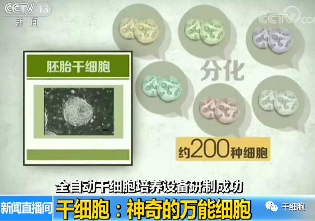 4.webp (1).jpg 4.webp (1).jpg