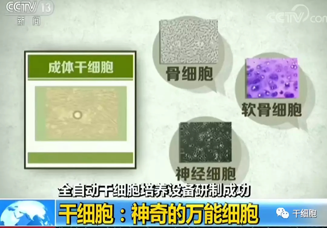 5.webp.jpg 5.webp.jpg