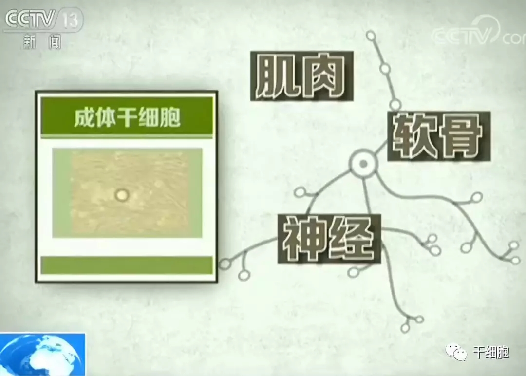 6.webp.jpg 6.webp.jpg