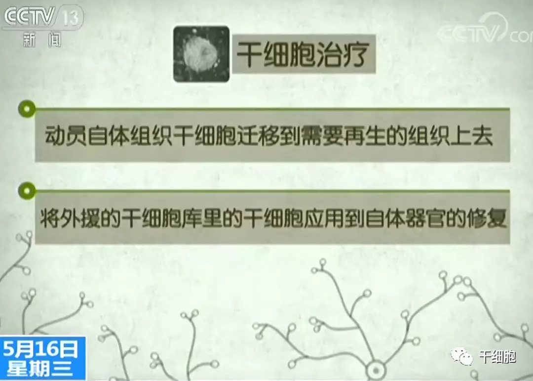 7.webp.jpg 7.webp.jpg