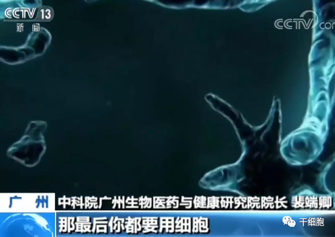 11.webp.jpg 11.webp.jpg