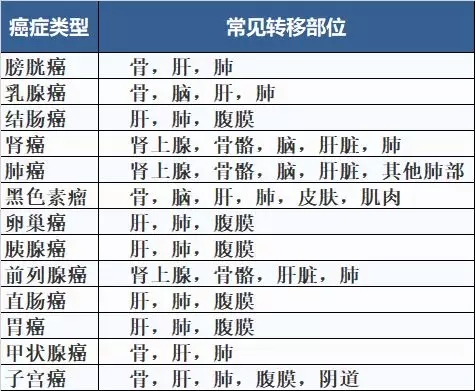 3.webp.jpg 3.webp.jpg