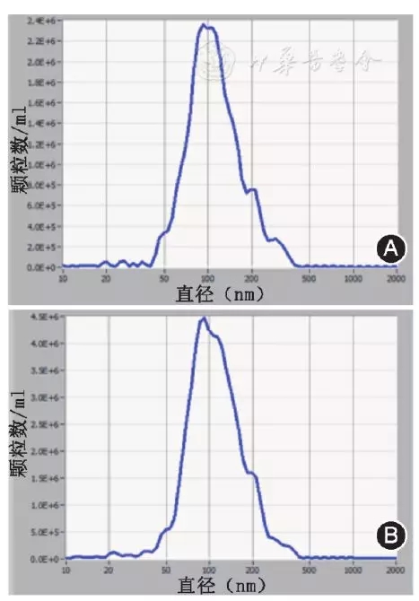 圖4.webp.jpg 圖4.webp.jpg