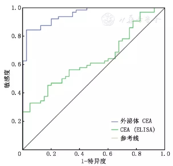 圖8.webp.jpg 圖8.webp.jpg