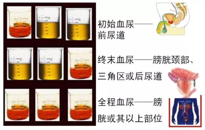 QQ截圖20190509105909.jpg QQ截圖20190509105909.jpg