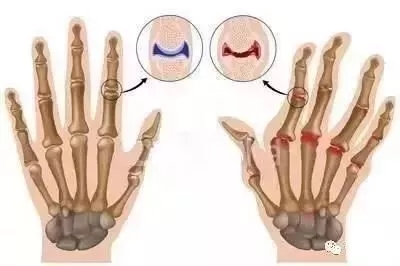 2.webp.jpg 2.webp.jpg