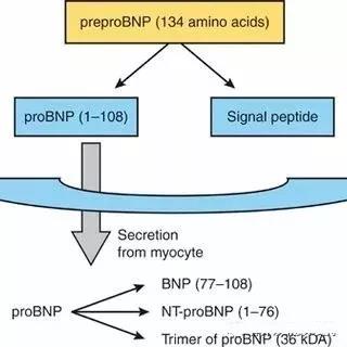 微信圖片_20190820165634.jpg 微信圖片_20190820165634.jpg