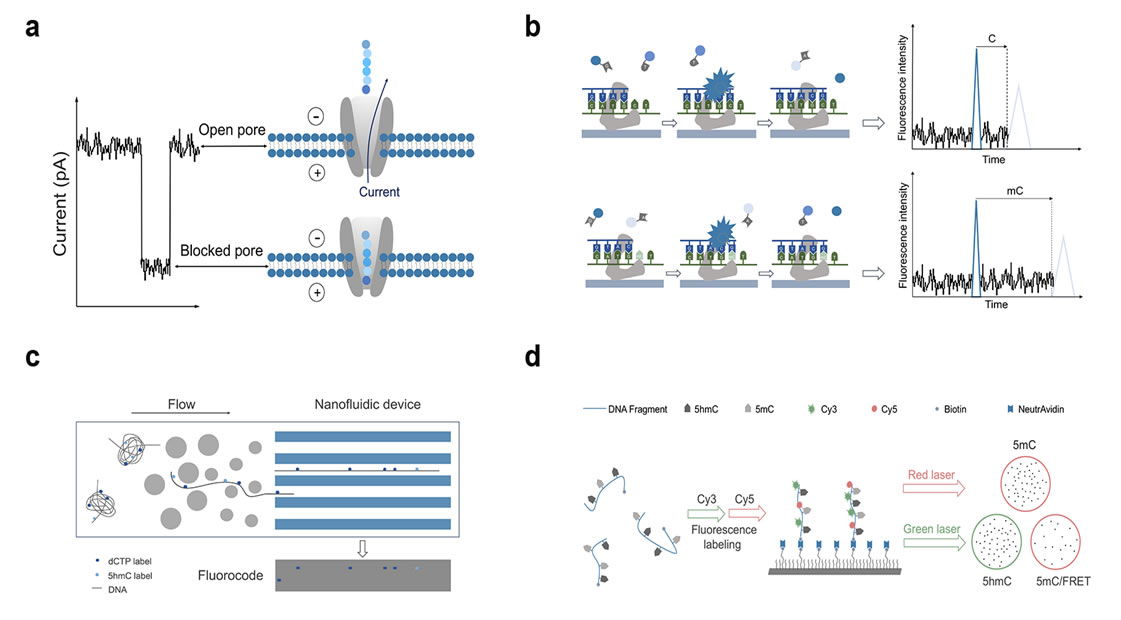 圖片3.png 圖片3.png