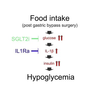 微信圖片_20200803110739.png 微信圖片_20200803110739.png