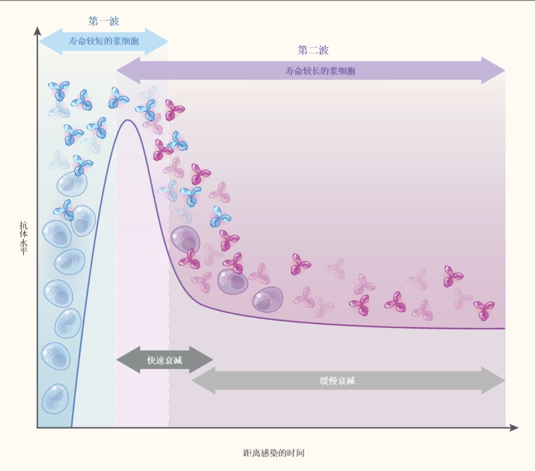 160212c58bxnh2chqmj8km.png 160212c58bxnh2chqmj8km.png