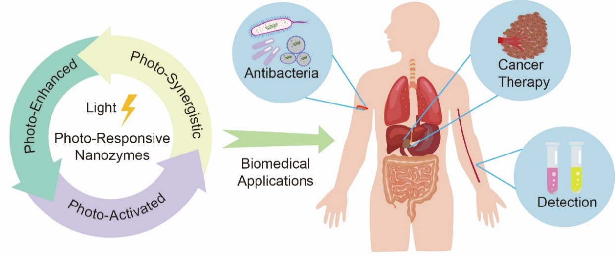 圖片2.png 圖片2.png