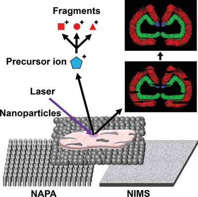 圖片1.png 圖片1.png