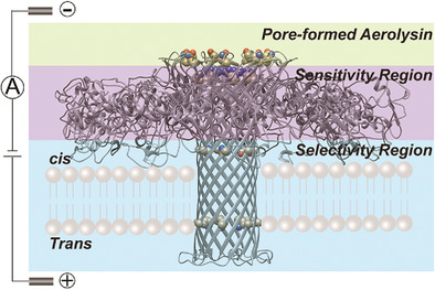 微信圖片_20210122095759.png 微信圖片_20210122095759.png