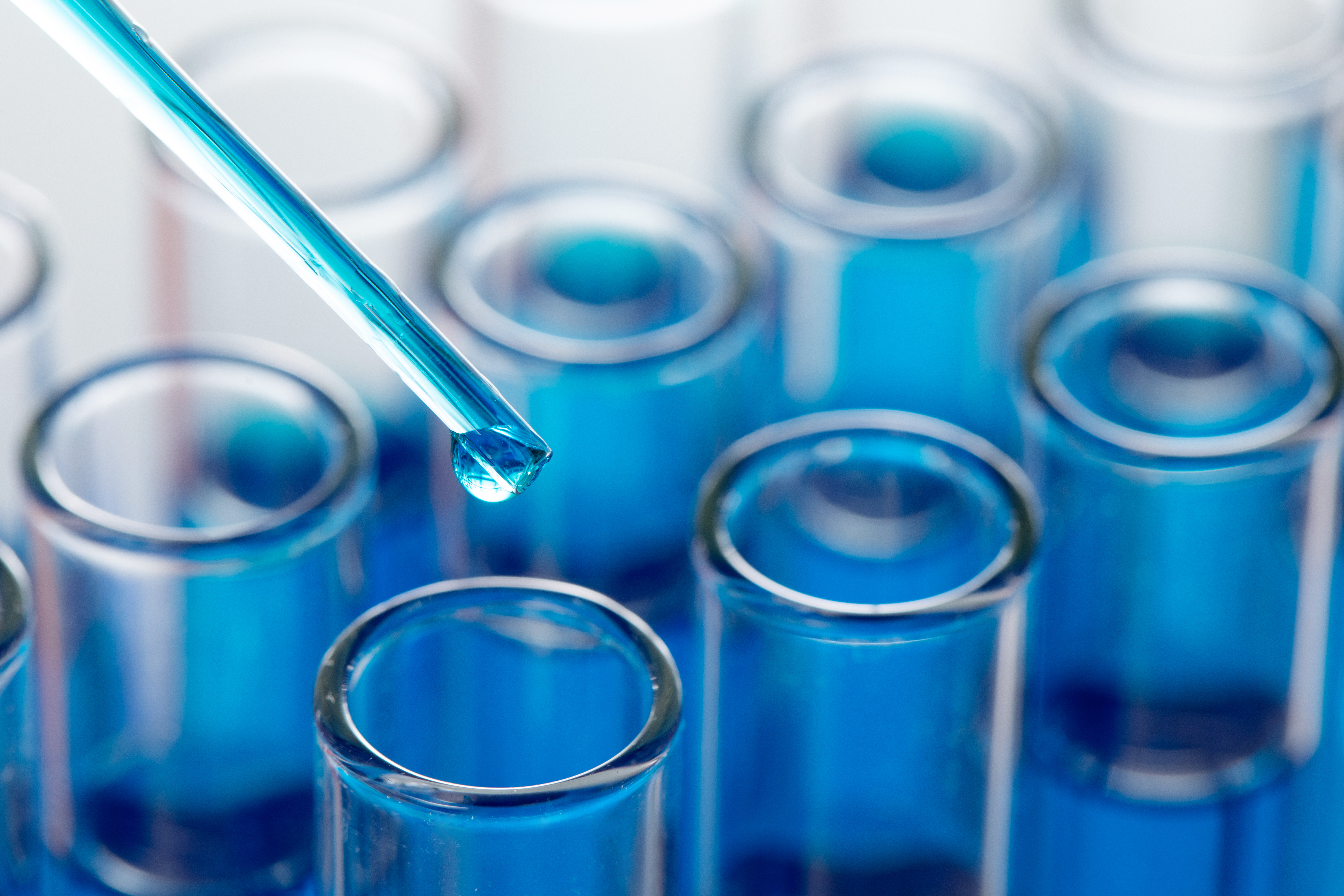 The Highest Science and Technology Award 2020 Was Successfully Held