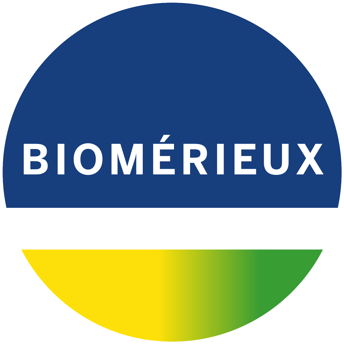 BioM��rieux Q4 Revenues up 11 Percent