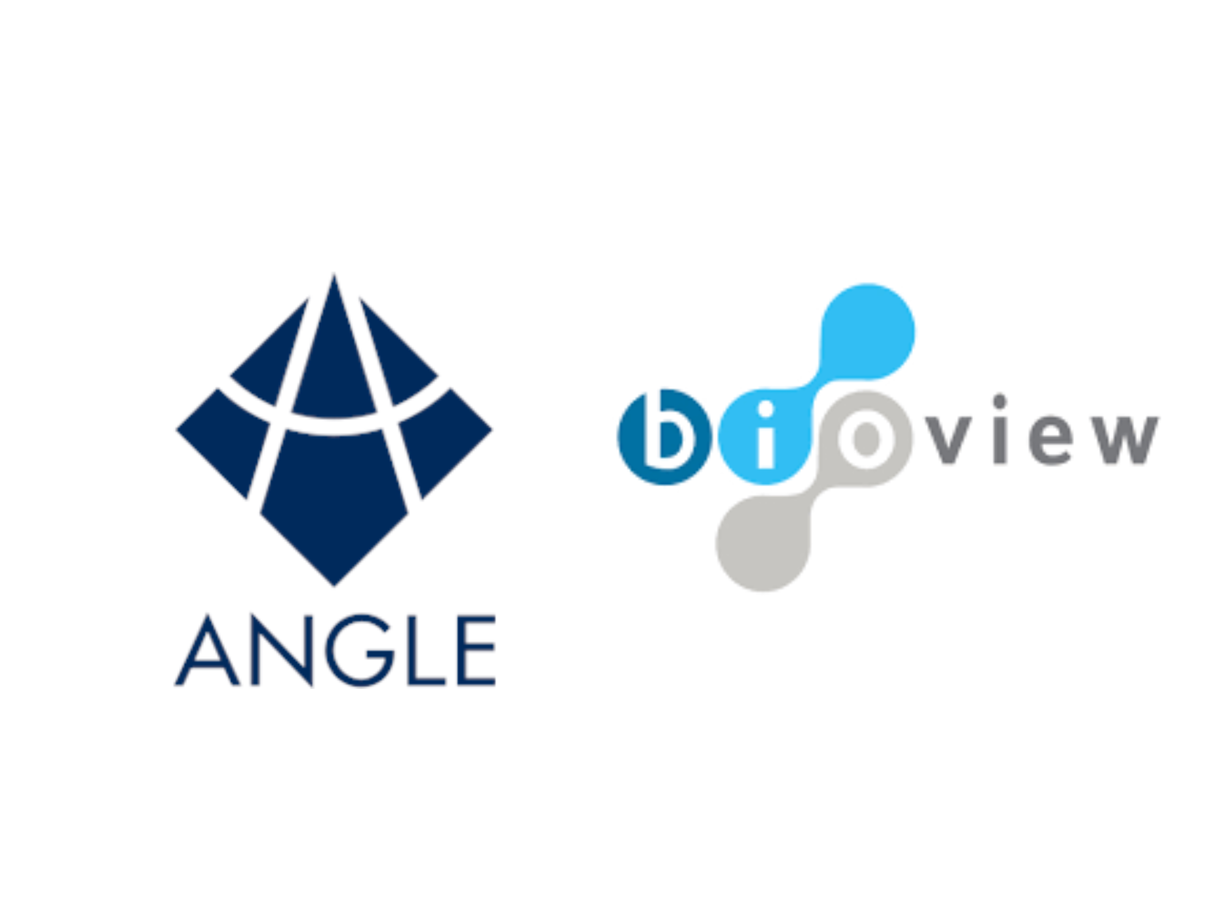 Angle, BioView Partner to Develop Quantitative HER2 Assay Using Circulating Tumor Cells