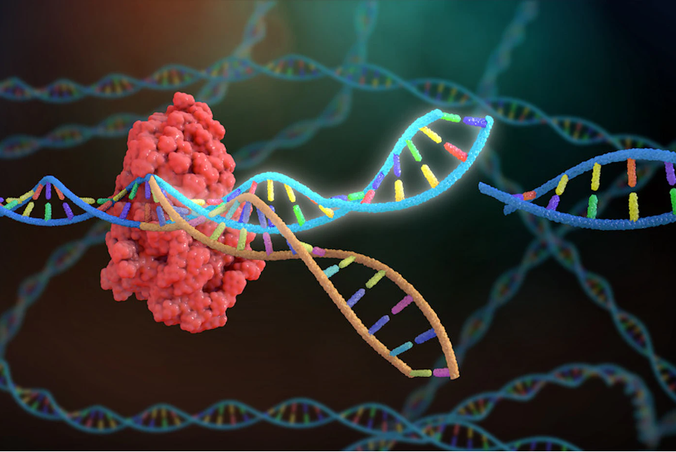 IGI, Danaher launch CRISPR gene therapy research center