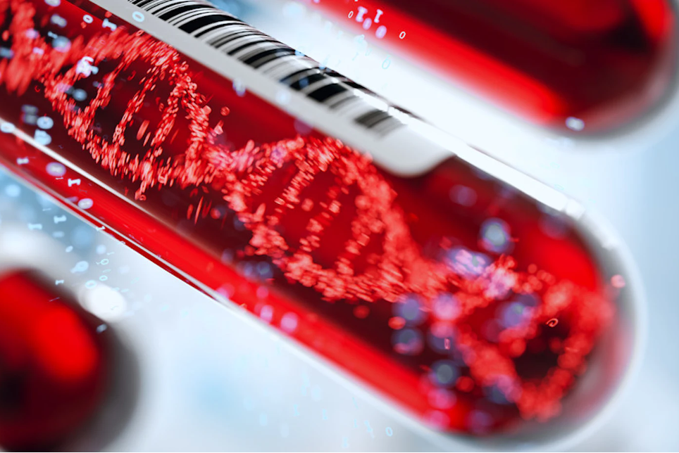 Researchers develop sensitive blood test for gene expression in the brain