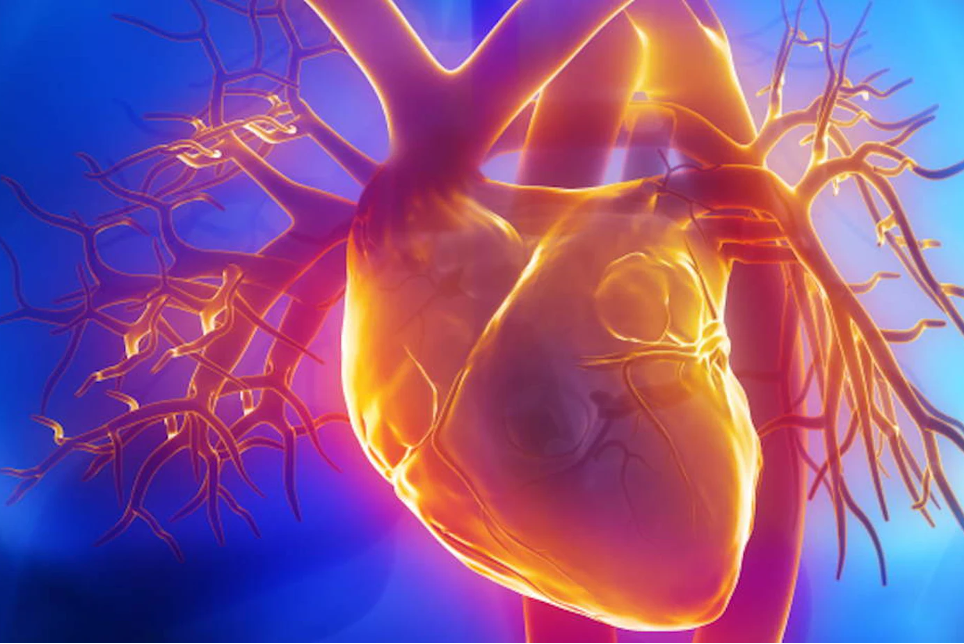 At-home heart failure screening device unveiled at ACS meeting