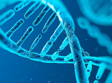 Genomenon Enters Chinese Market With Shanghai Shanyi Partnership