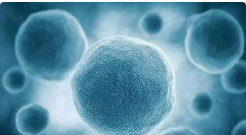 Castle Biosciences Q3 2019 Revenues Quadruple