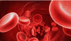 Genomic Testing Cooperative, C2i Collaborate on Liquid Biopsy Tests for Solid Tumors