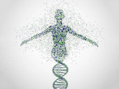 Global Immunoassay Market to Reach USD 19.76 Billion by 2025 with Increased Use in Oncology