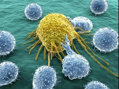 Cepheid HBV Viral Load Test Gets CE-IVD Clearance