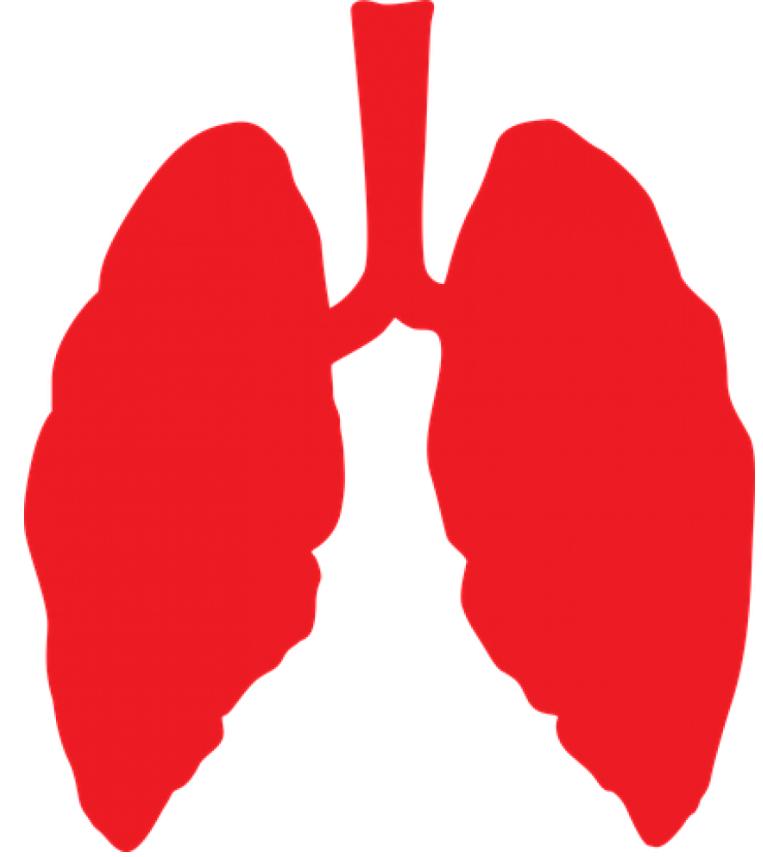 Biodesix Looks to Become ��the�� Lung Cancer Detection Co. With New Acquisition