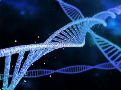 AI Finds Connection Between Disease and Genes