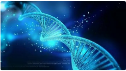 Australian Firm Genetic Signatures Raises $25M