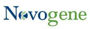 Novogene, Chipscreen Ink CDx Development Deal