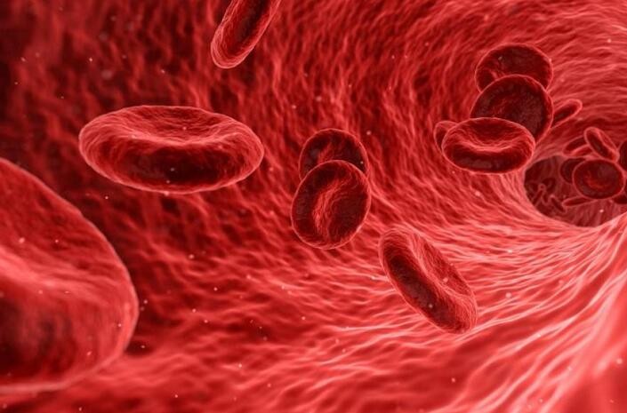 Blood Test Gives Greater Insight on Heart Attack Risk After Surgery