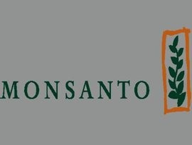 Monsanto Refuses Bayer��s  Bid Price Again