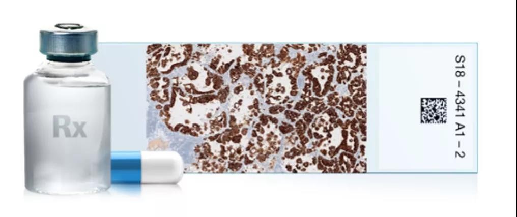 The Development of Companion Diagnostics In the Chinese Market